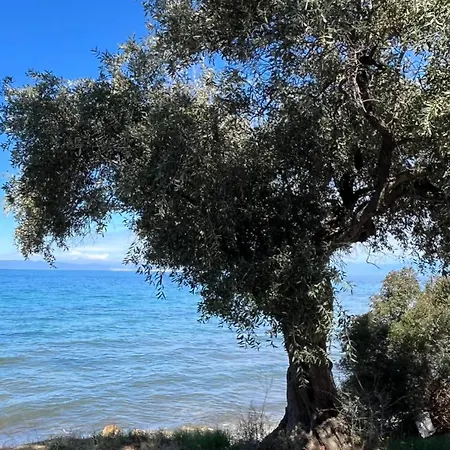Valia Thassos Skála Kallirákhis